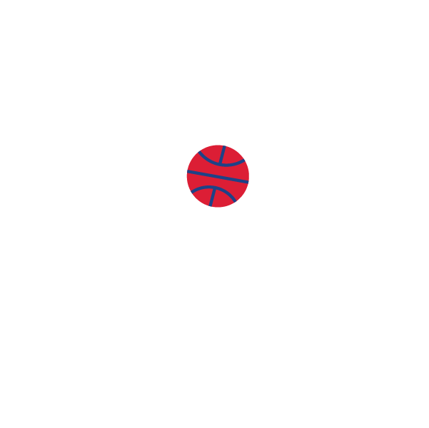 Washington Bullets