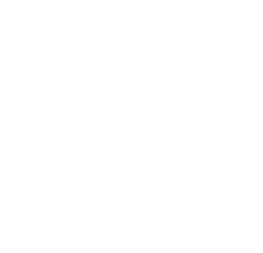 Detroit Tigers