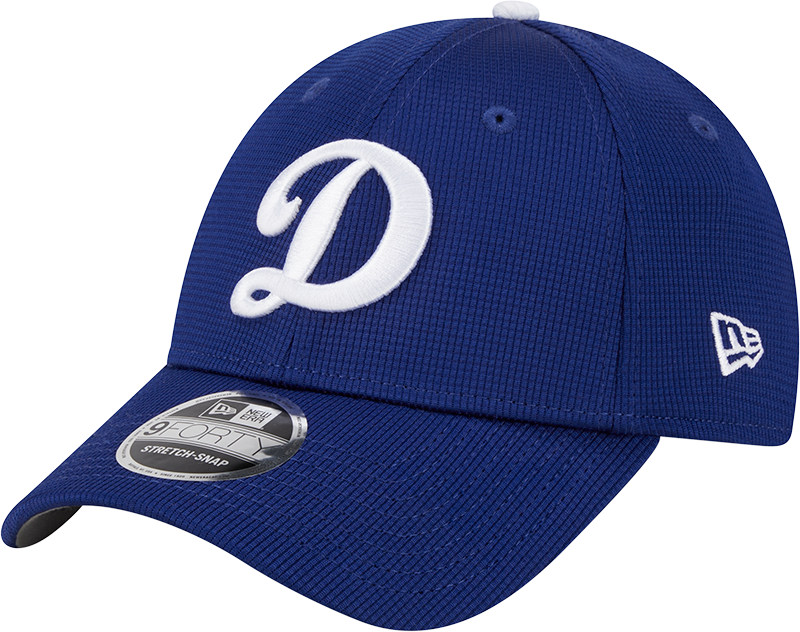 Los Angeles Dodgers 2025 Batting Practice Blue 9FORTY Stretch-Snap Hat