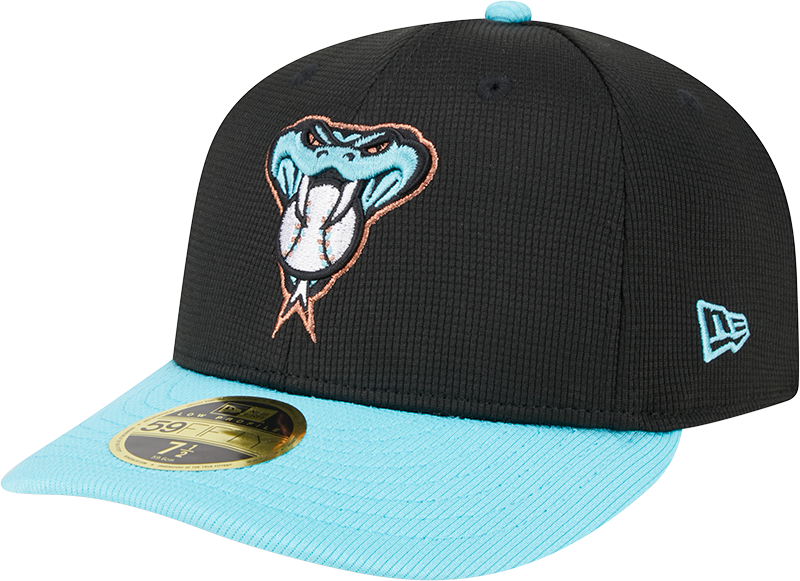 Arizona Diamondbacks 2025 Batting Practice Low Profile 59FIFTY Fitted