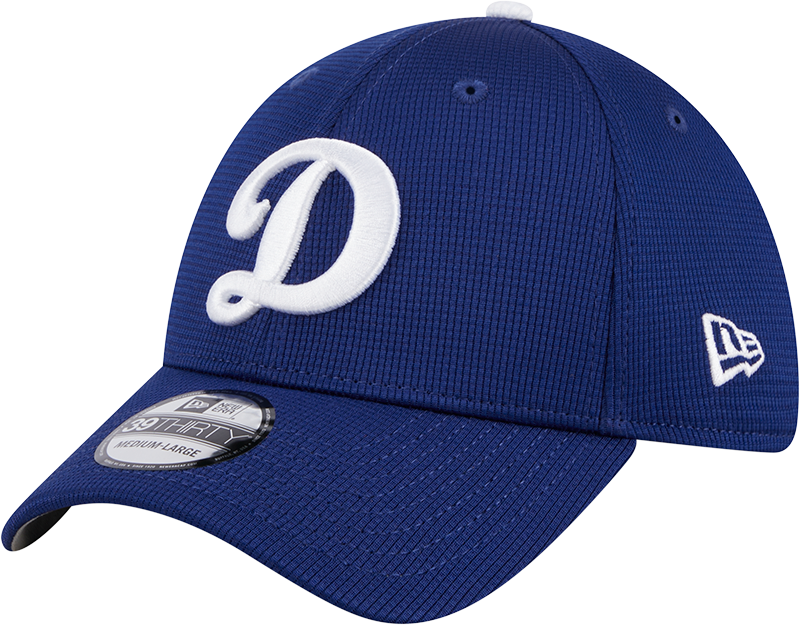 Los Angeles Dodgers 2025 Batting Practice 39THIRTY Stretch Fit