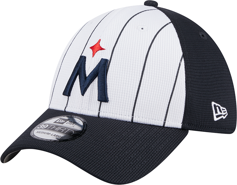 Minnesota Twins 2025 Batting Practice 39THIRTY Stretch Fit