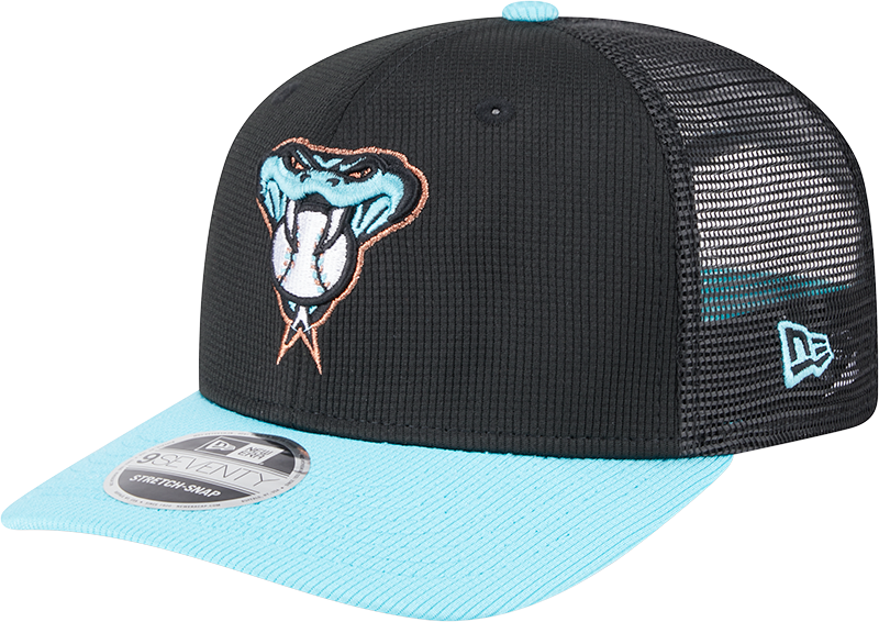 Arizona Diamondbacks 2025 Batting Practice 9SEVENTY Trucker Hat