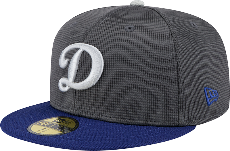 Los Angeles Dodgers 2025 Batting Practice Gray 59FIFTY Fitted Hat