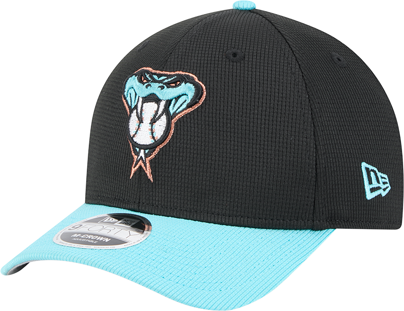 Arizona Diamondbacks 2025 Batting Practice 9FORTY M-Crown Snapback Hat
