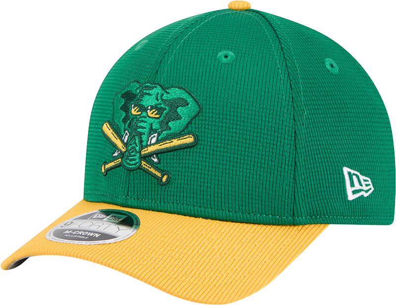 Athletics 2025 Batting Practice 9FORTY M-Crown Snapback Hat