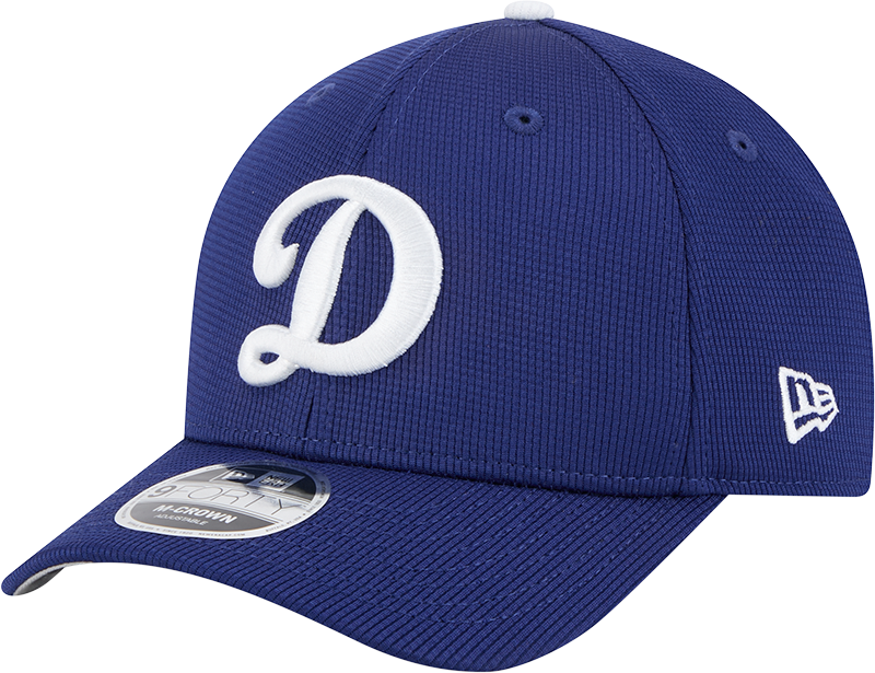 Los Angeles Dodgers 2025 Batting Practice 9FORTY M-Crown Snapback Hat