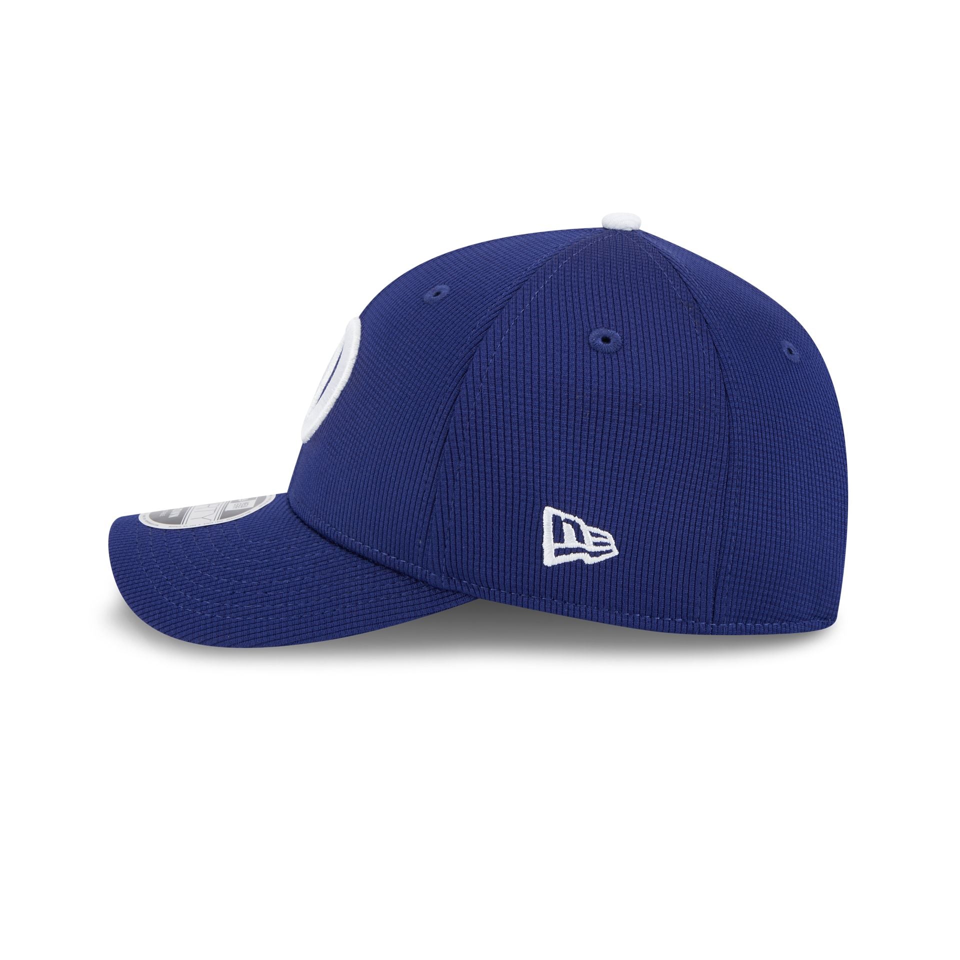 Los Angeles Dodgers 2025 Batting Practice 9FORTY M-Crown Snapback Hat