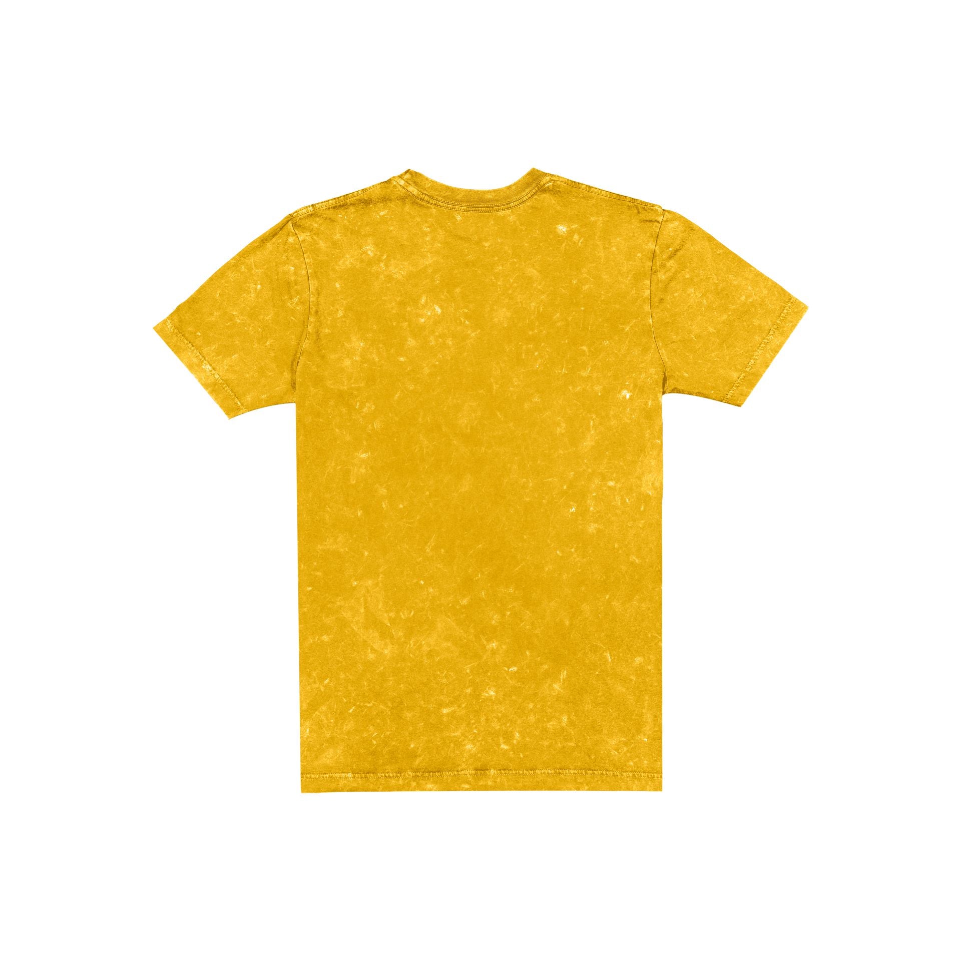 Iowa Hawkeyes Throwback Washed T-Shirt