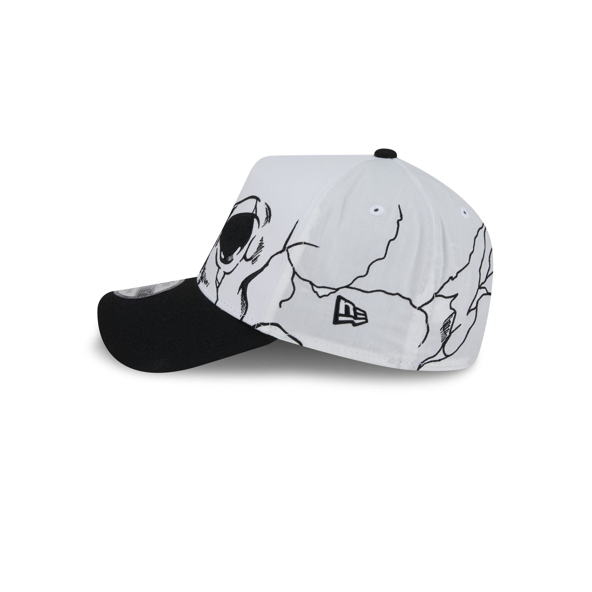 Nextgenmallstore Satin Skull 9FORTY A-Frame Snapback Hat