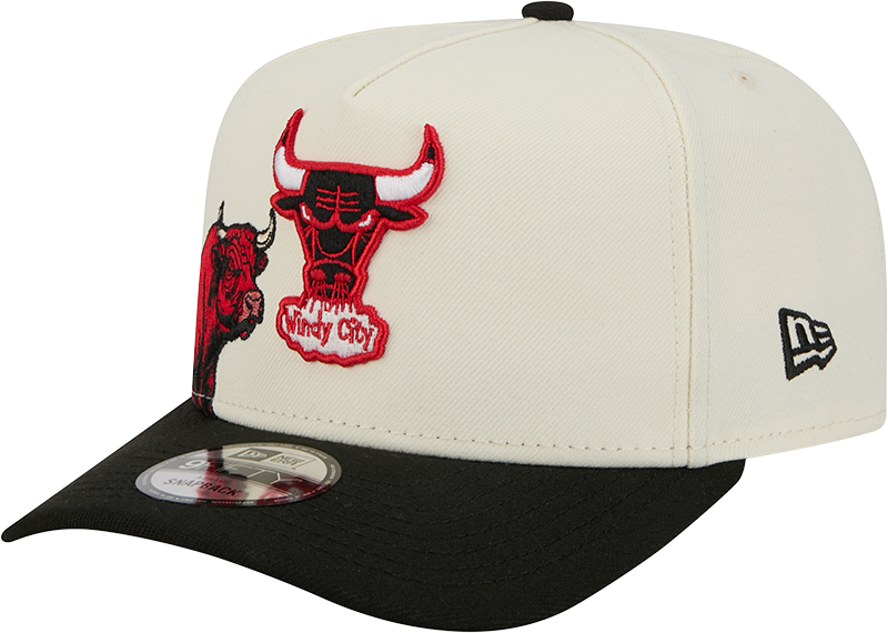 Chicago Bulls 1960-1970 Hardwood Classics Chrome White 9FIFTY A-Frame Snapback Hat