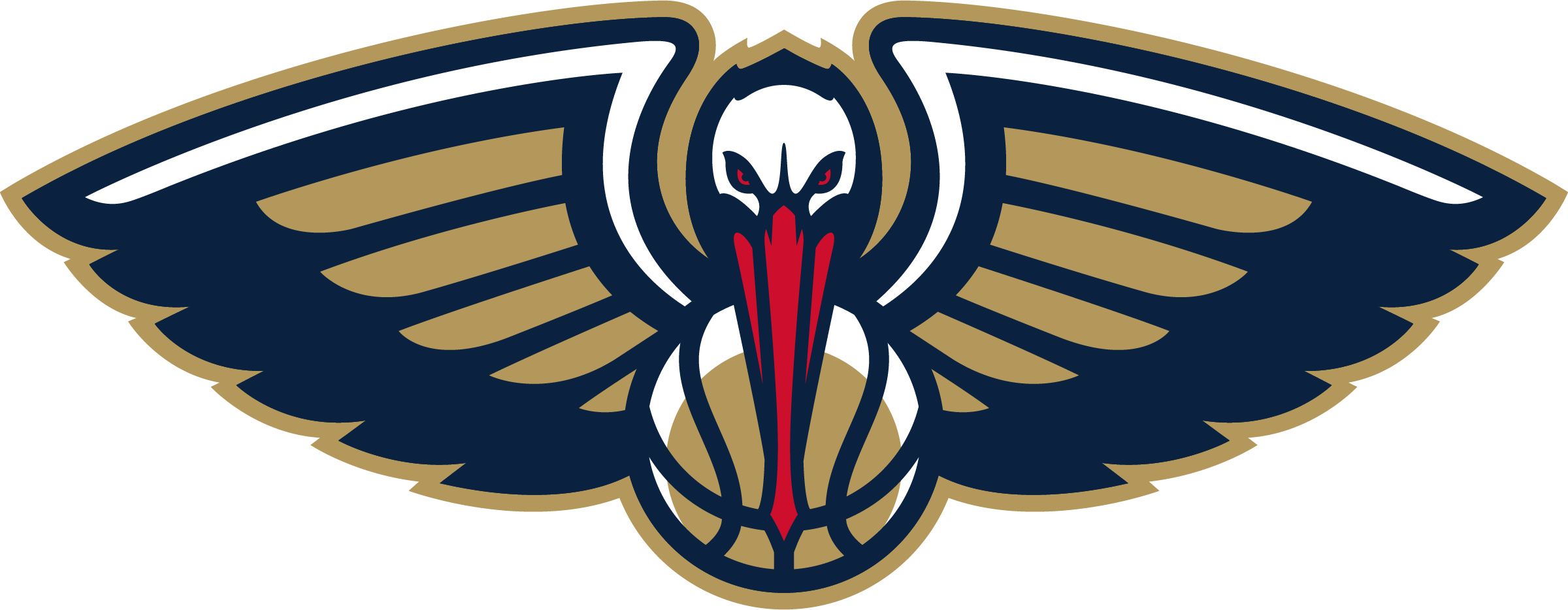 New Orleans Pelicans 
