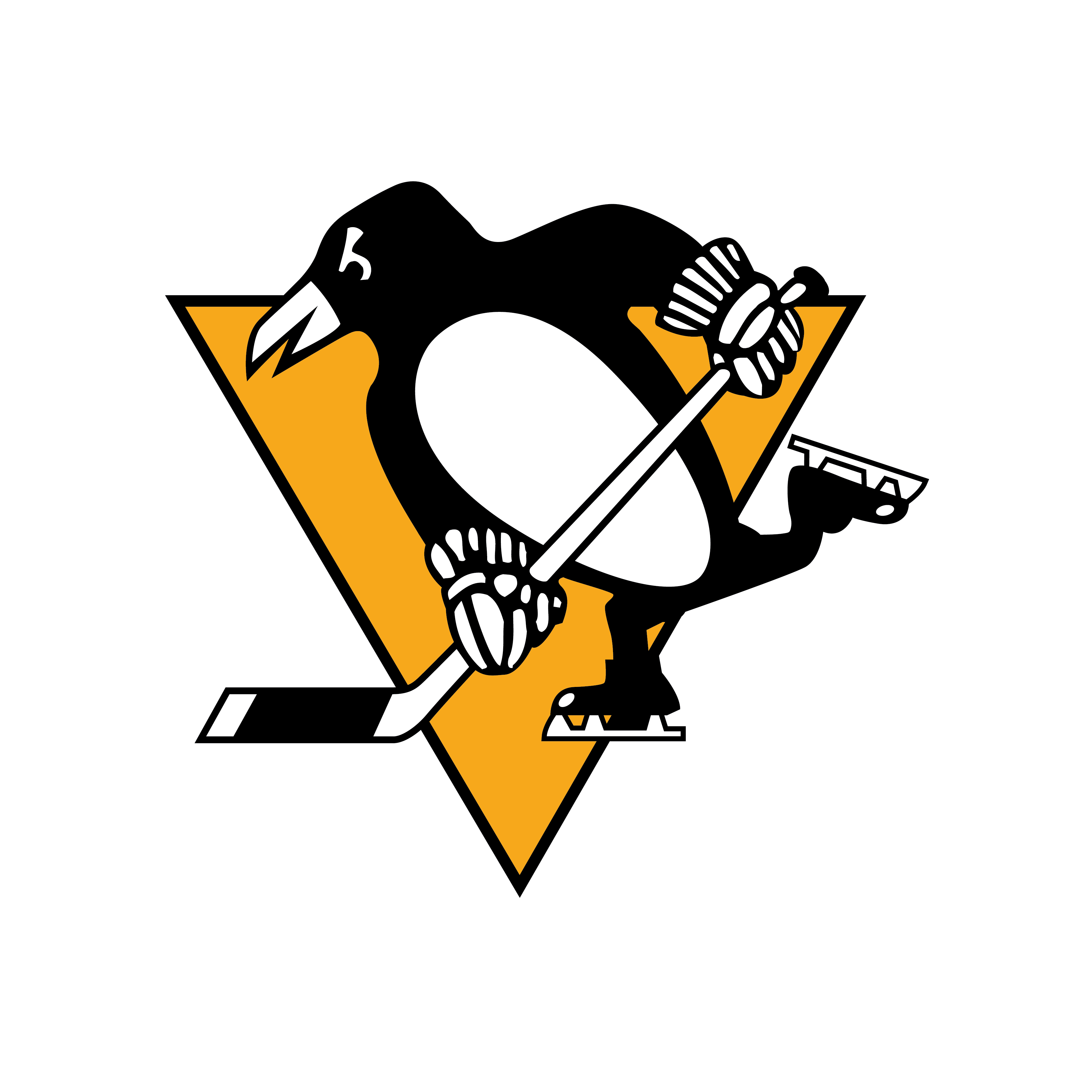 Pittsburgh Penguins